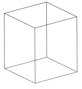 07neckercube